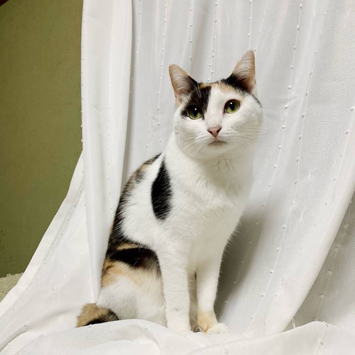 693dc00c 545f 4212 a049 333751caadf8 1542508116271