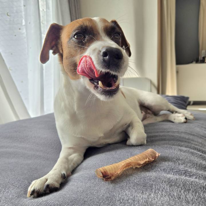 693dc97f d296 4a5f 84f5 1378b2f060c3 1766374954798