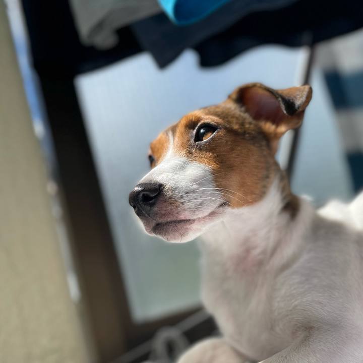 693df4c3 cae3 4fe8 8f78 1de298ce5f5b 1693111918776