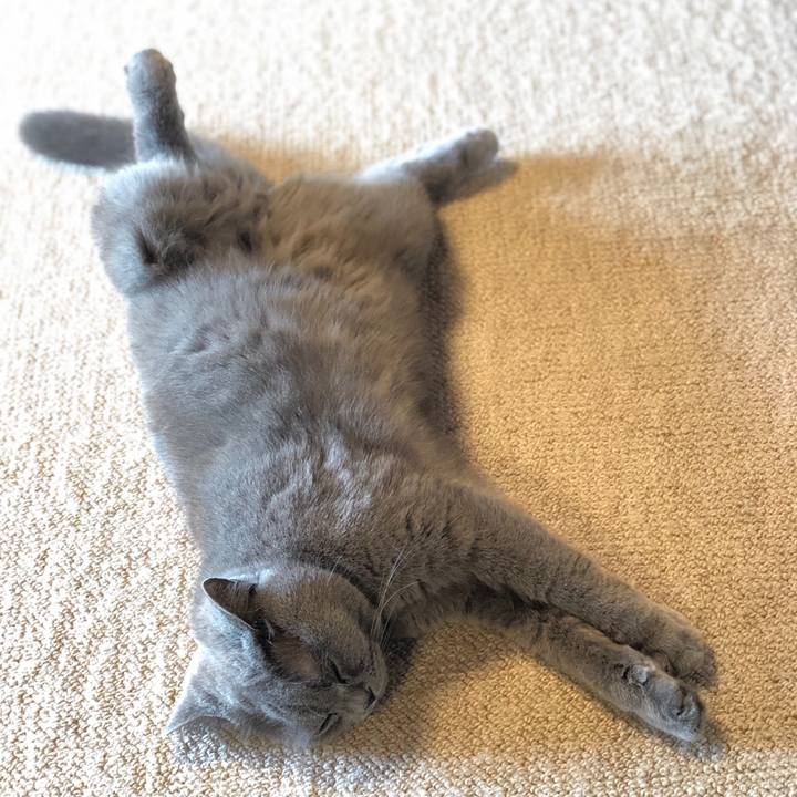 693e27f3 1ef3 488b 92a9 18c8d6272926 1559366567884