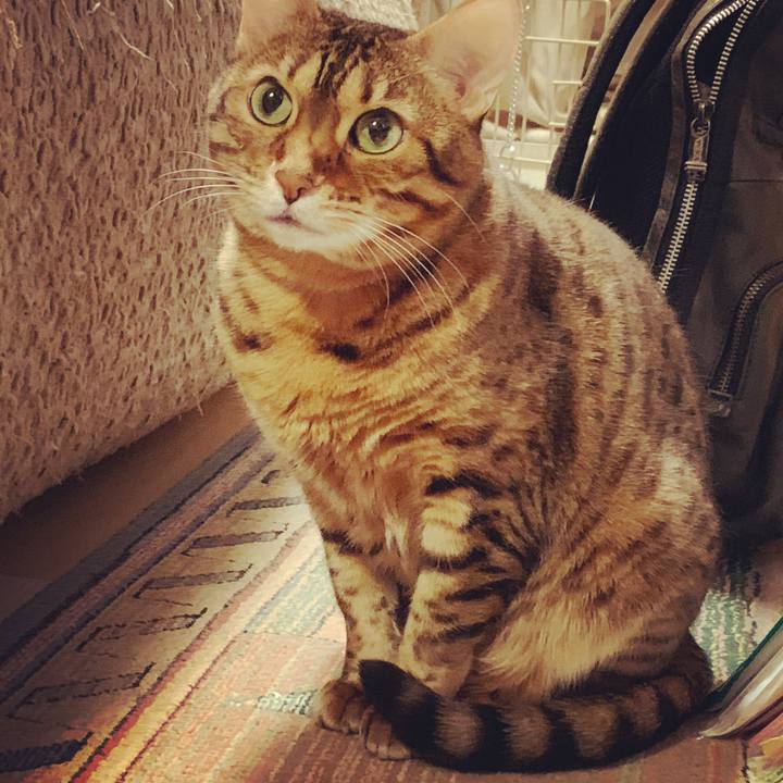 693e60c1 0704 455c 9261 8258f4582259 1617577175198