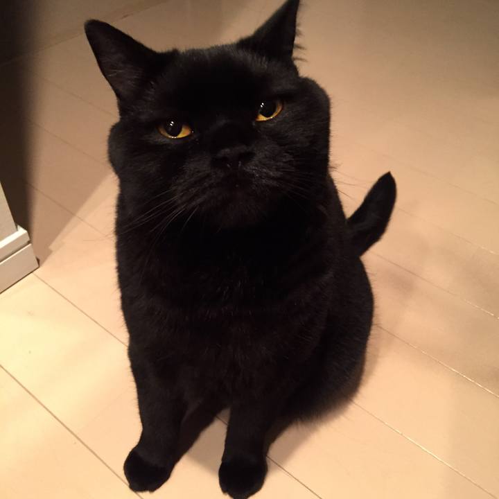 693e661f 94ac 4fb0 ba7a c6c3155eb96f 1561205153716