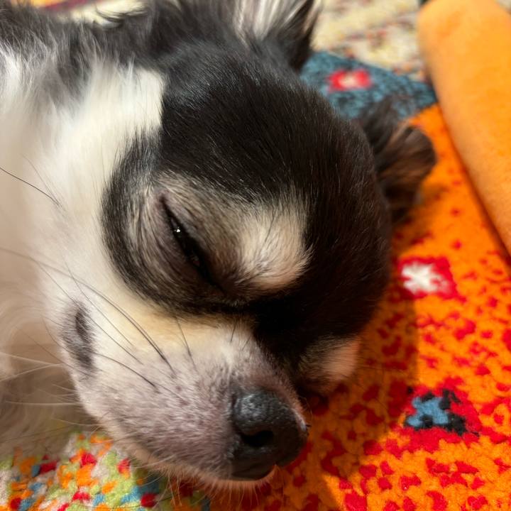 693e9d9f 4923 4e8d b097 3eb5d77054b9 1729354407048