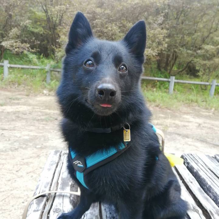 693ea292 59d1 4a60 abaf 9dc922fdb0cc 1664058516871