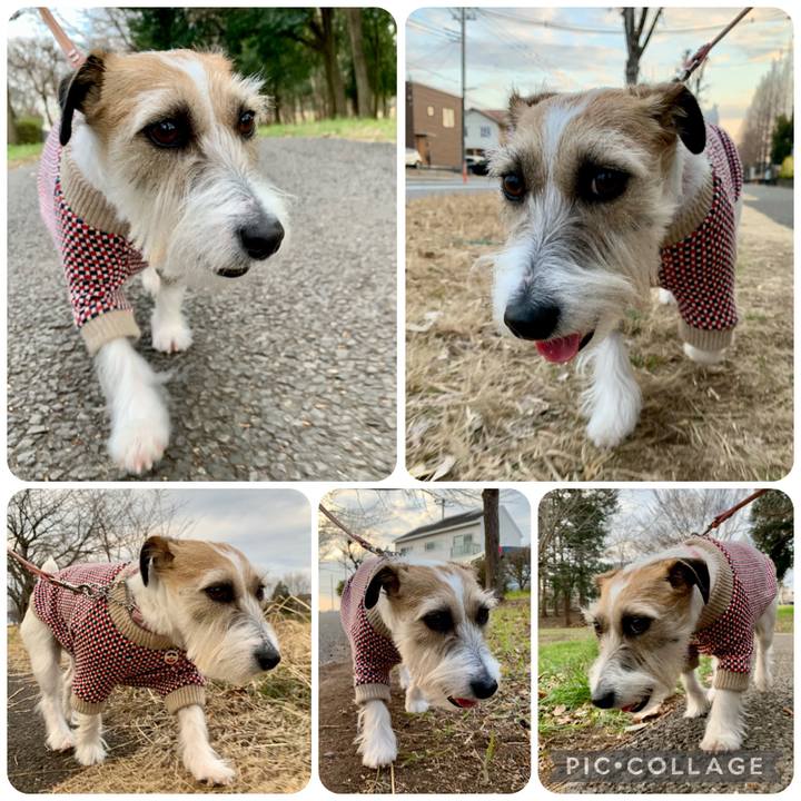 693eb3c7 c5d4 419b 8106 e0545230318d 1676751389456