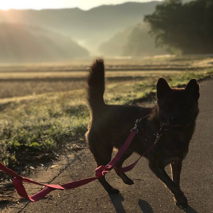 693ec1a6 0817 4cf3 b21c d32feee21a84 1508977137034