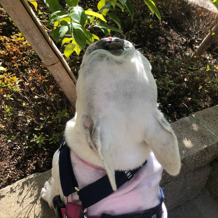 693eda4b 27b2 40cf a457 fbc6d61b14b9 1613300235935