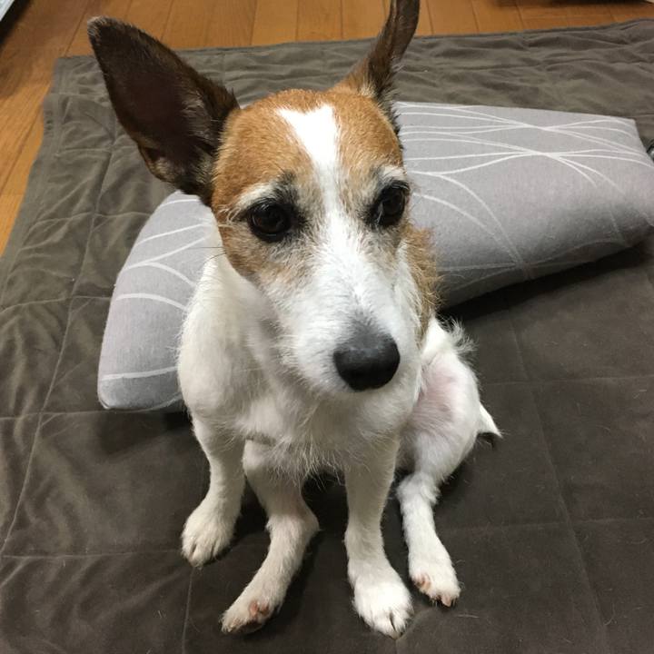 693edb09 34c3 43c8 b441 960dcca4367e 1592008100738