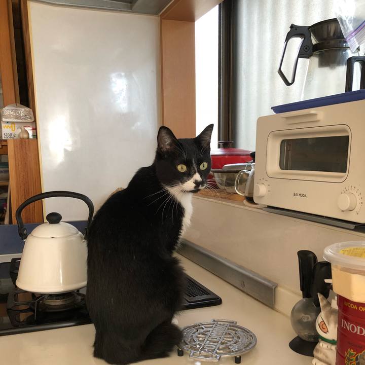 693ee03d 0108 46b8 b328 4ad058859684 1540180163513