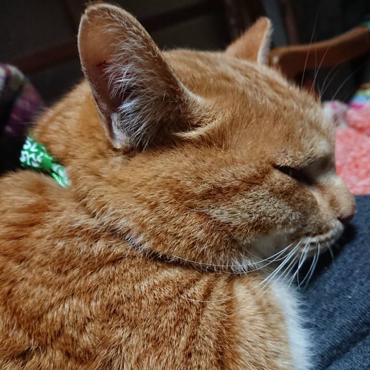 693ee0aa 0aee 4f18 8f56 621a1d70ab15 1579986801049