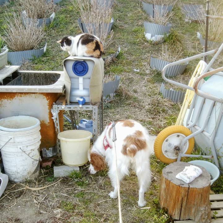 693ee893 27ab 41d6 99f4 dd5dd09766e3 1548837567912