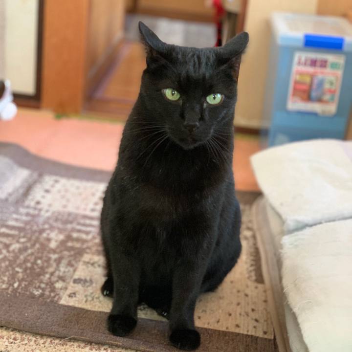 693ef807 7fc2 411c 922a c592a69b2716 1578879618536