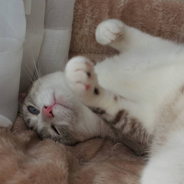 693efec3 fe37 4486 8aaf 7dad002f09b3 1539736471559