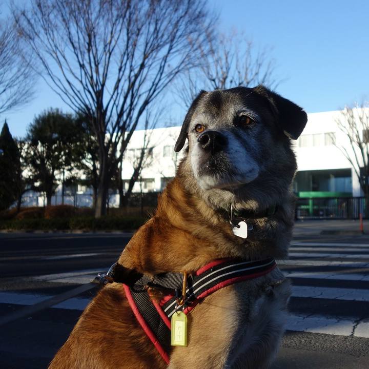 693f06fd 1f22 4175 9920 e3e1b7f74e29 1546302959099