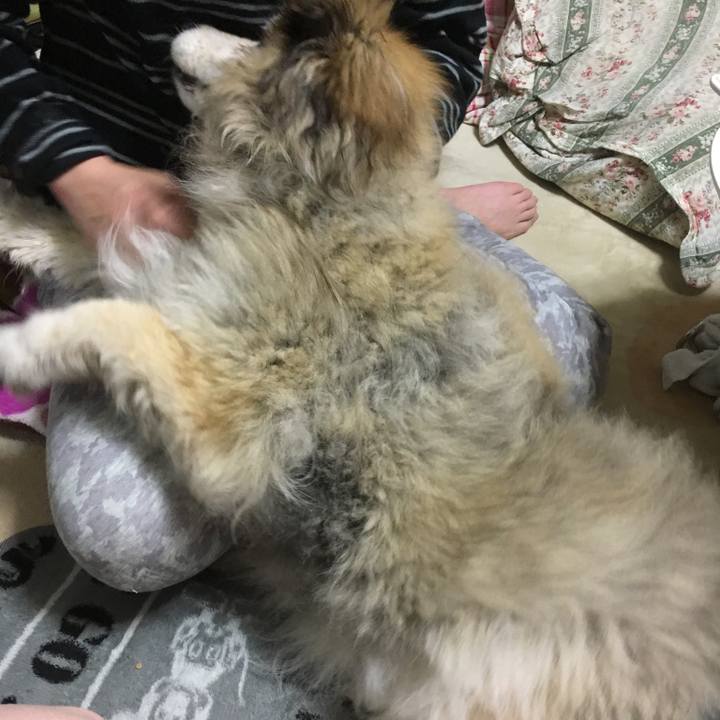 693f0ef6 0627 4ae1 9472 7a9722172429 1591497403261