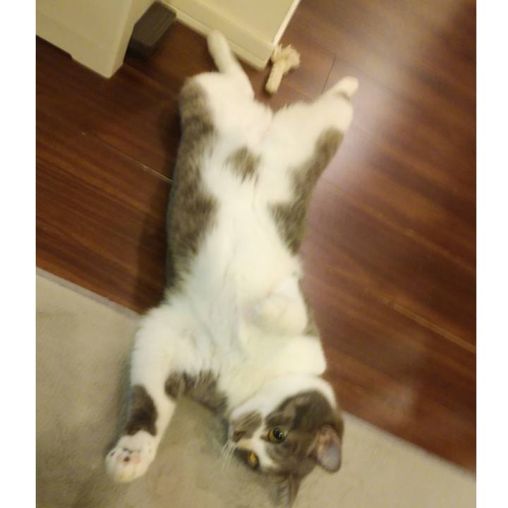 693f3956 4c77 4dfb 9f51 7fccfc37bf0a 1605863141652