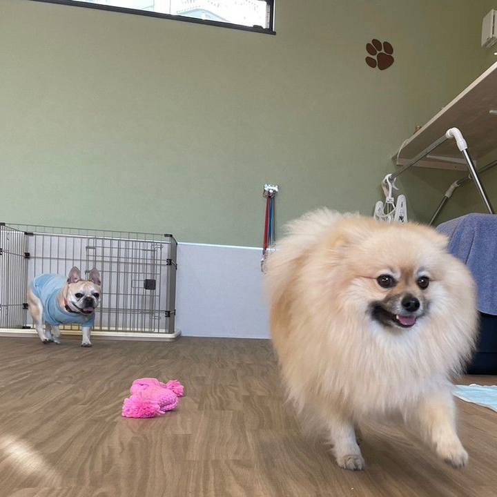 693f8970 8656 4ff2 a36e 3c0e6fab927a 1678620617413