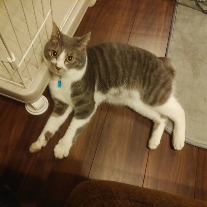 693f8a69 5dd5 4683 8f5d b3ea83c1f465 1587818249094