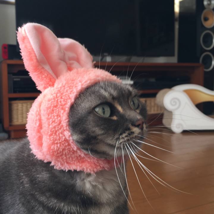 693fbc77 7789 46ff 8769 155df60c780d 1518434048904