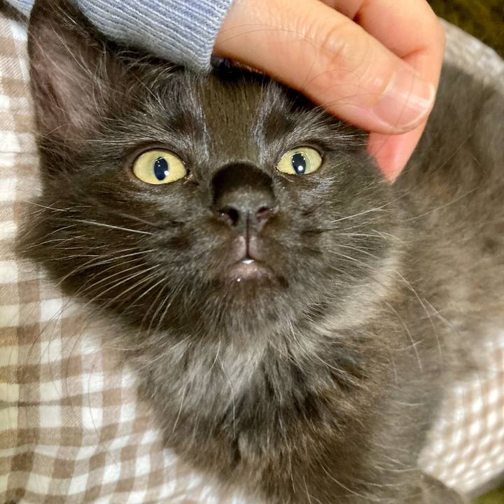 693fc070 e1ef 4d3a 99e2 2f095f7b7951 1700054896808