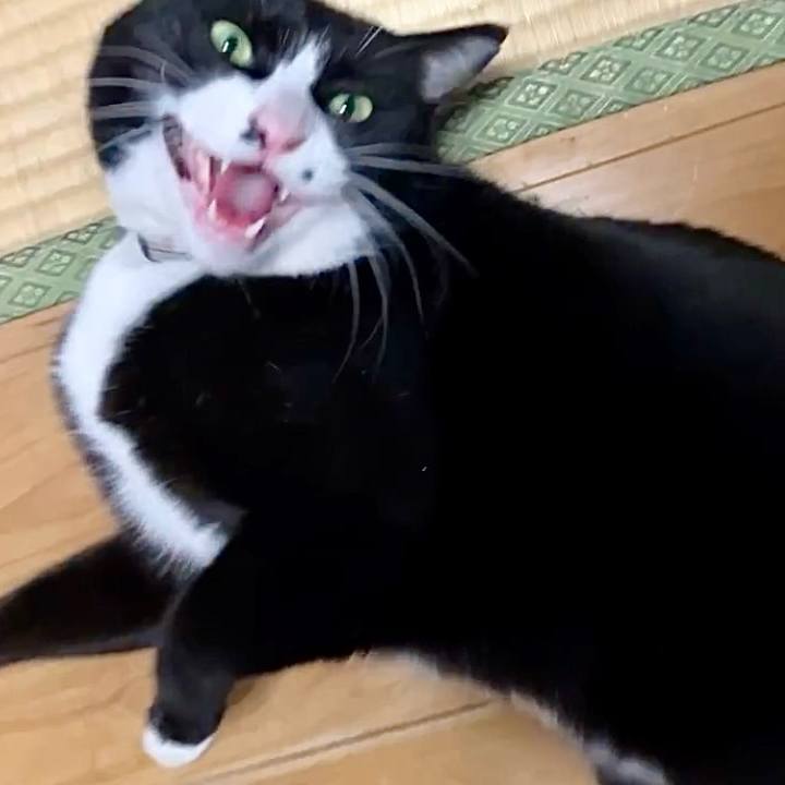 693fe994 251e 4abd 85bf e55343513aee 1737288716613