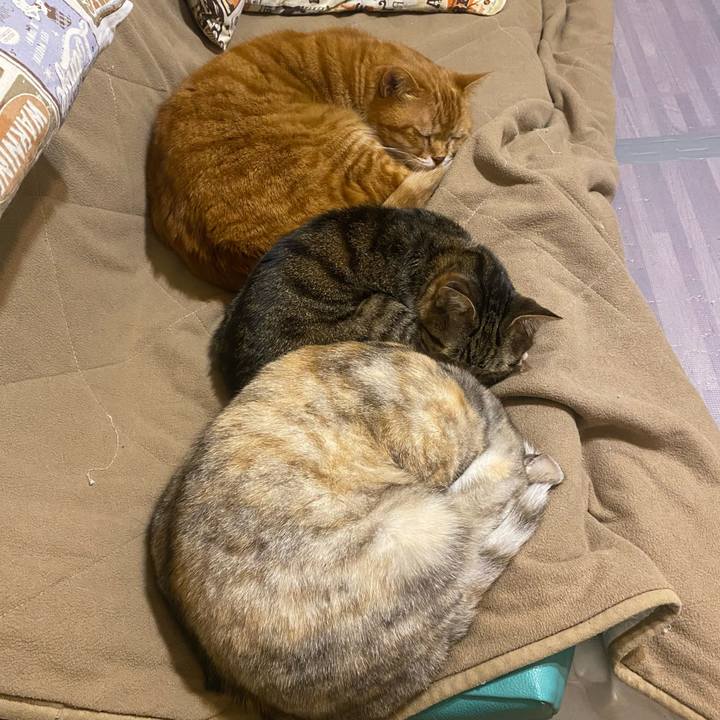 693ffaaa 7192 4d61 8612 d6e90656ddda 1646253705801