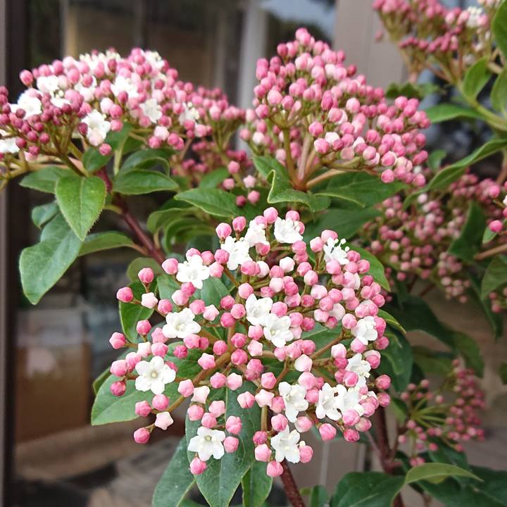 69400b51 2b8d 4ea1 908c f7e51ee1ad9a 1647650826547