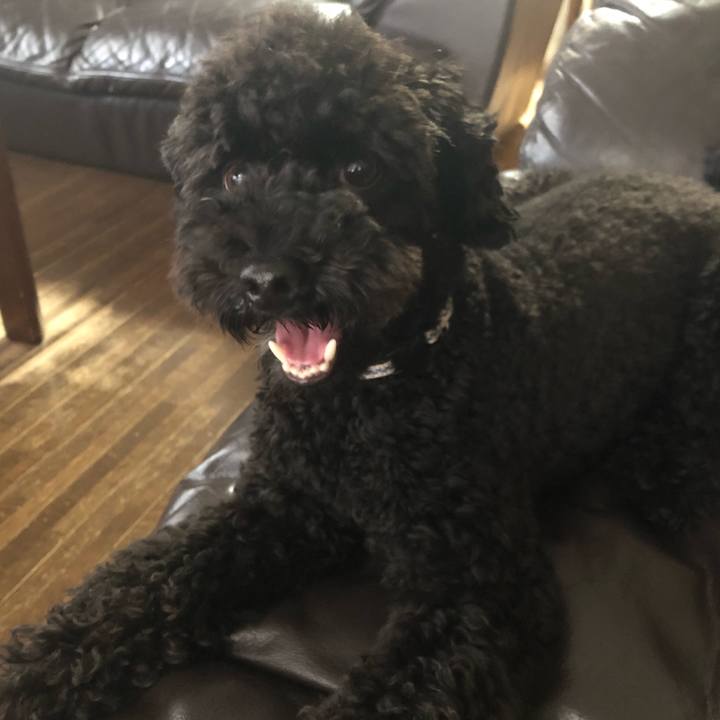 69403346 ef28 40d1 98db 4ecf03586d30 1535154275002