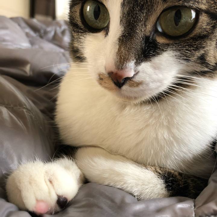 694064ce 27b0 408f 9413 c30fc5619c3c 1518267780262