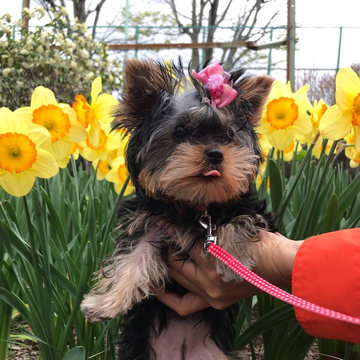 694092b7 6d8f 46ba b412 39c360165e2a 1616900323755