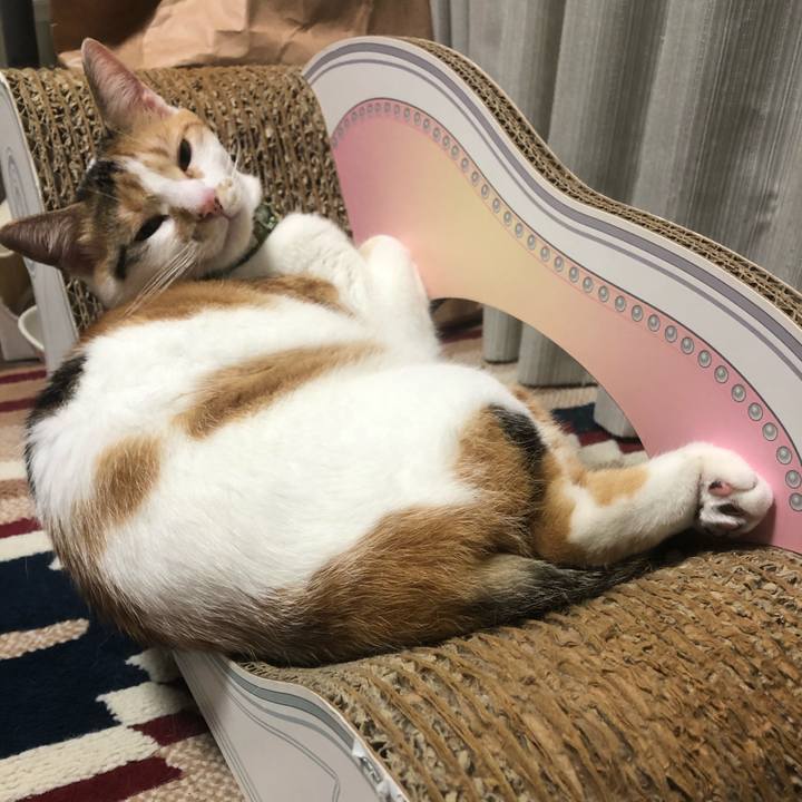 694092c8 1a10 458b 9180 fc782e82f537 1595515884277