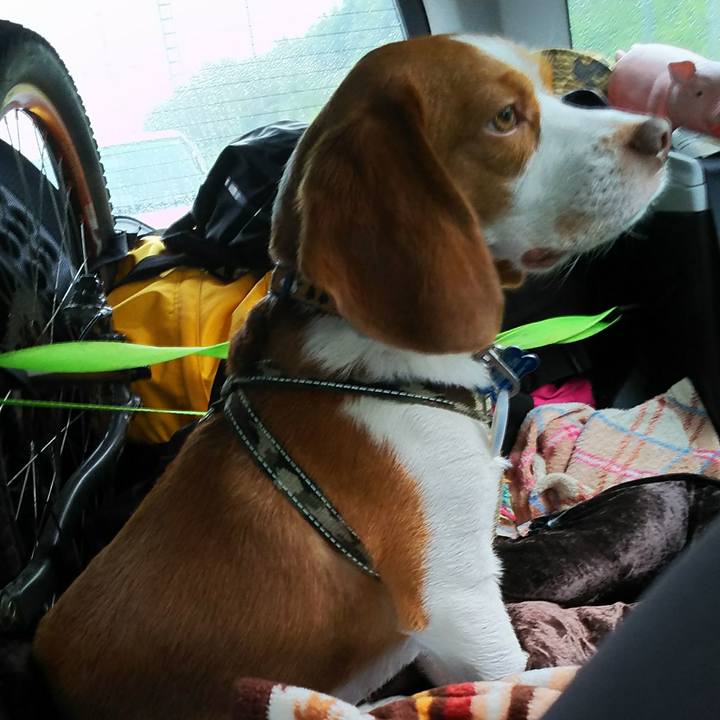 6940c061 c1fd 4a29 b64d 8accea0e2f57 1536977747878