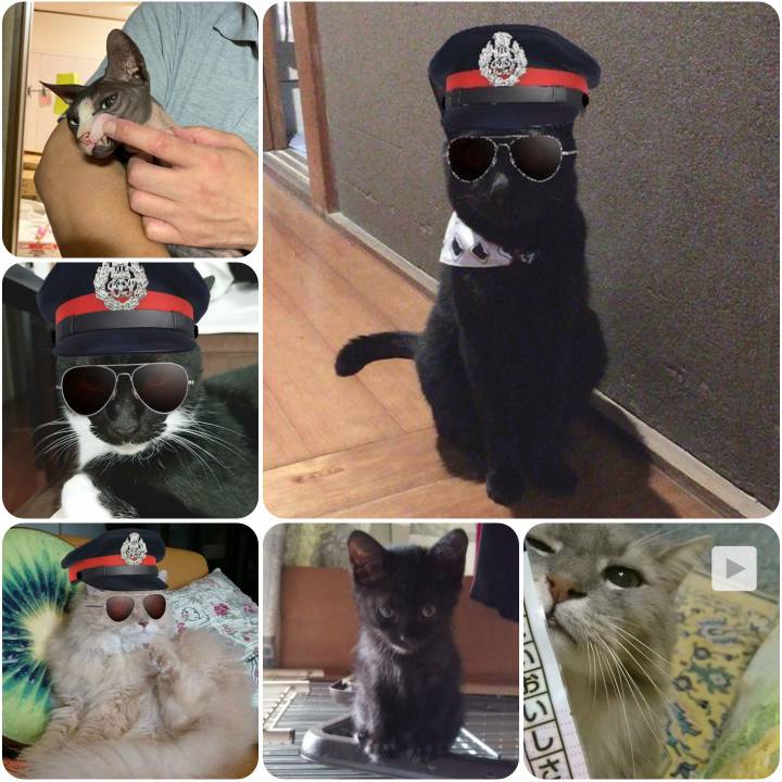 6940c616 1628 46f1 a6c0 40924f48468a 1566702224086