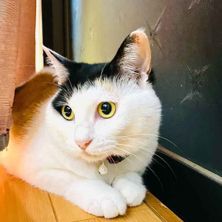 6940d211 26d9 4c1d 8c1b bc684abea905 1688561358250