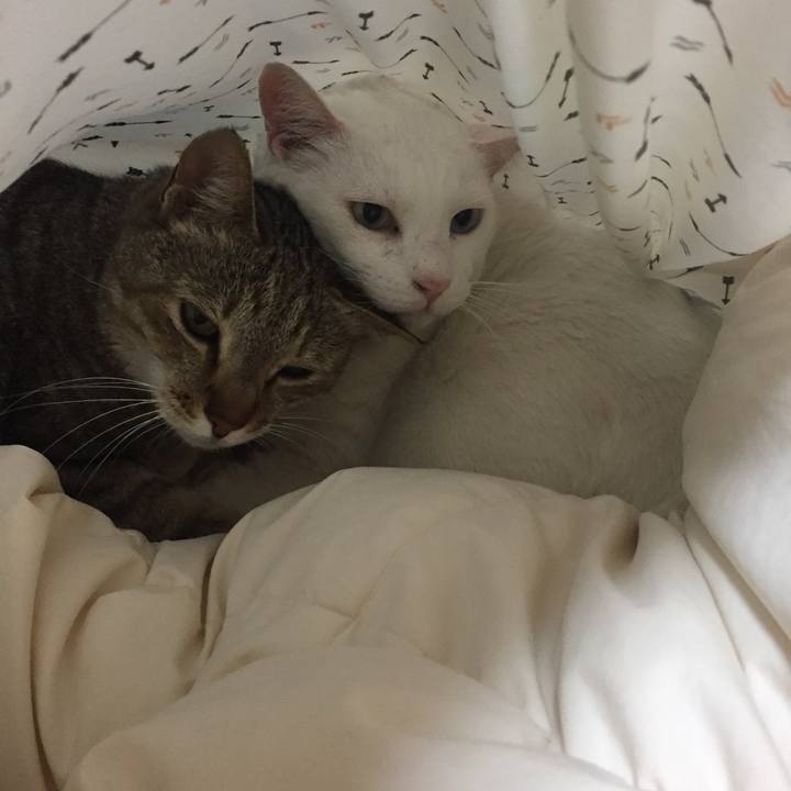 69411284 6186 4633 bd5c ee23d49ce48b 1556231764826