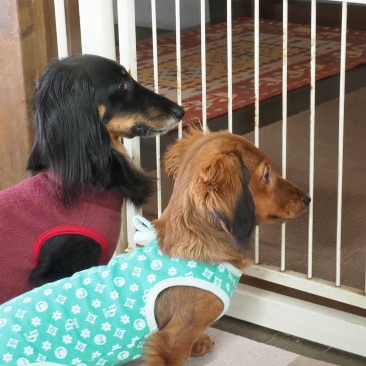 694146ab dd08 46b3 b524 82f3b5c17099 1699597013711