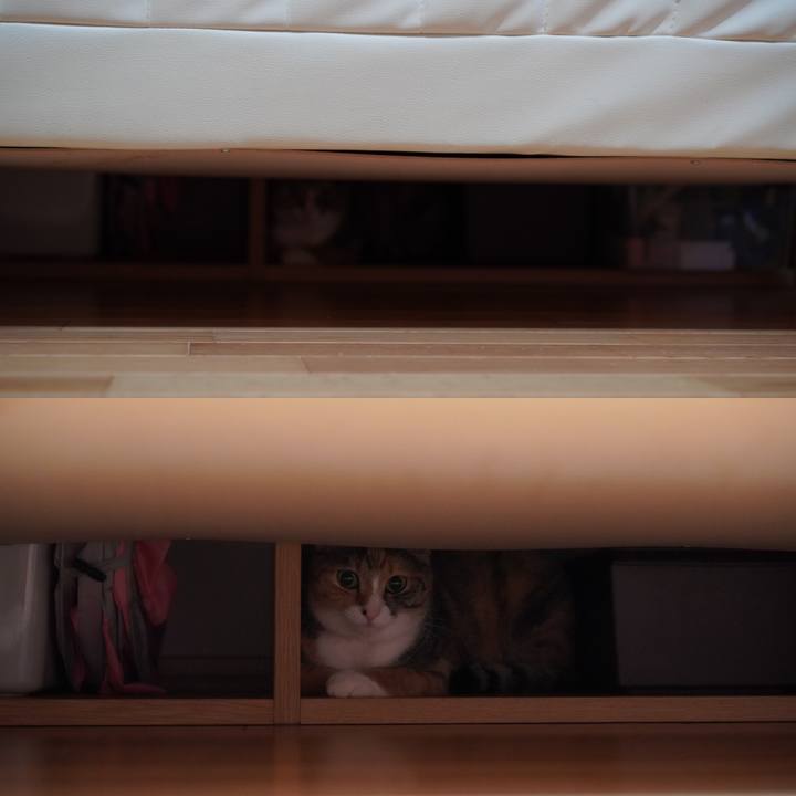 69416285 a589 4ab0 8021 49bedba81061 1626096349667