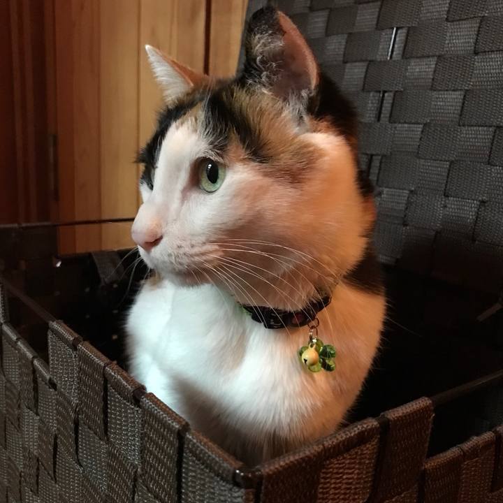 69416404 56d2 41ff b164 d315ad7c55a5 1526821955697