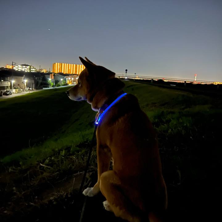 694165ca 7de1 4b3d a909 be60ceb1c798 1701598665839