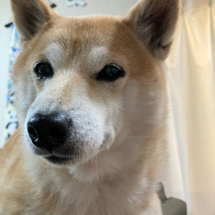 69417f37 31a9 496e 8731 445efecabca9 1612072347578