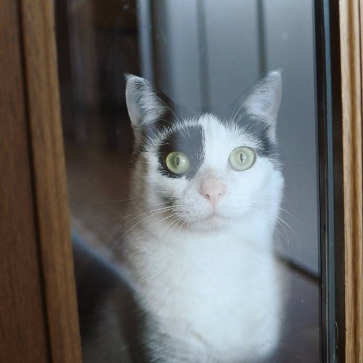 69418ad3 66ee 495e a48e e641d1d82c4f 1584254786904