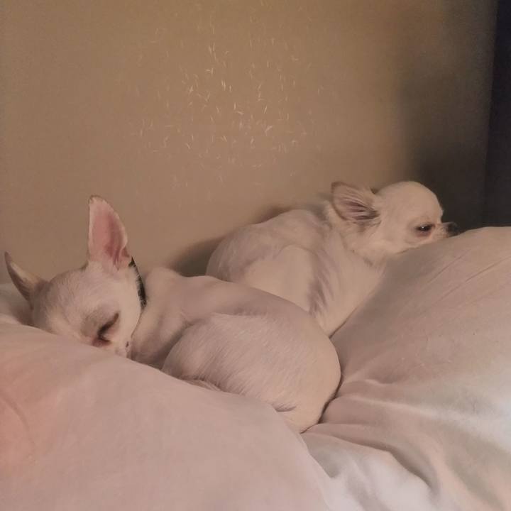 6941aad1 69e2 499d a443 ebeae8c66167 1750848621085