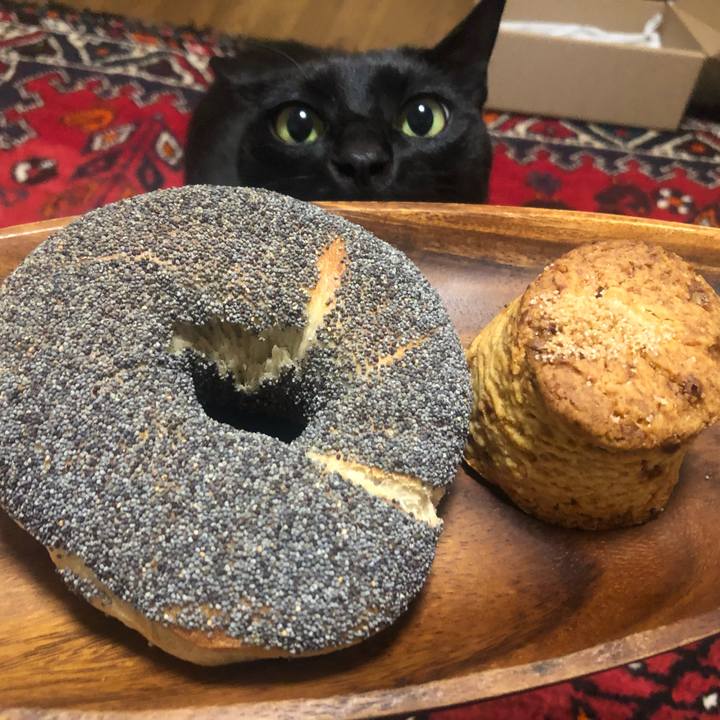 6941b629 fabf 48a3 b0ce 03f91441c52e 1643507108866