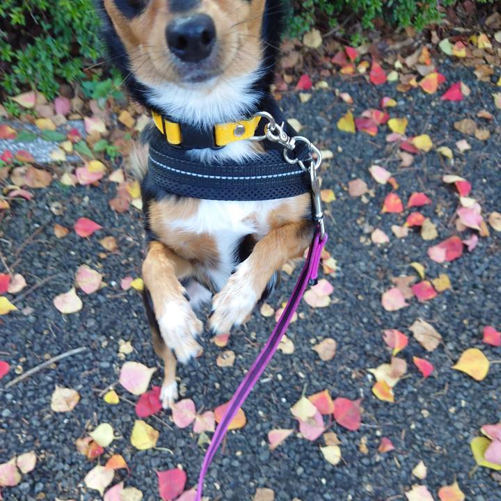 6941c616 fe35 48b8 89b0 3965c38835ae 1762305483423