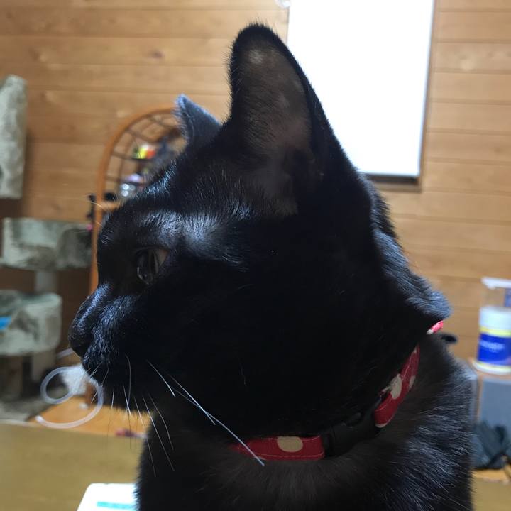 6941cfc5 7b96 4ed9 b5f4 c349a79d691c 1520859123241