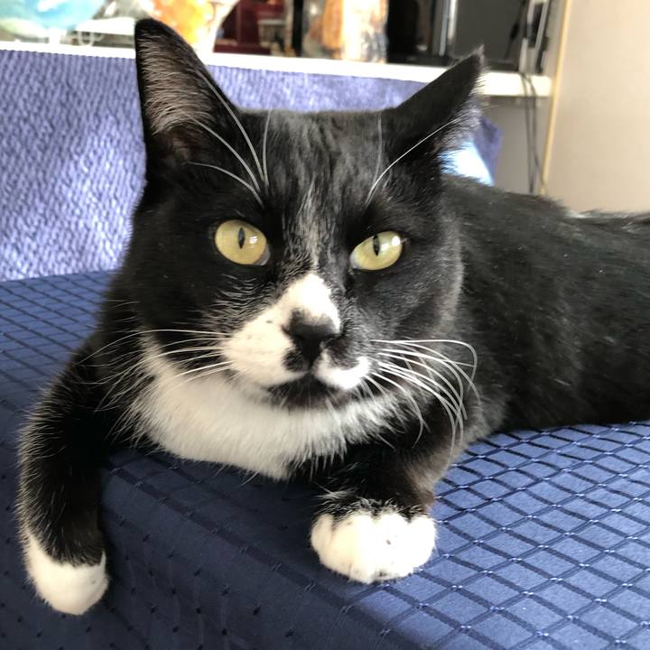 6942831a 937c 4cf3 ad64 500ca44b47eb 1641958883240