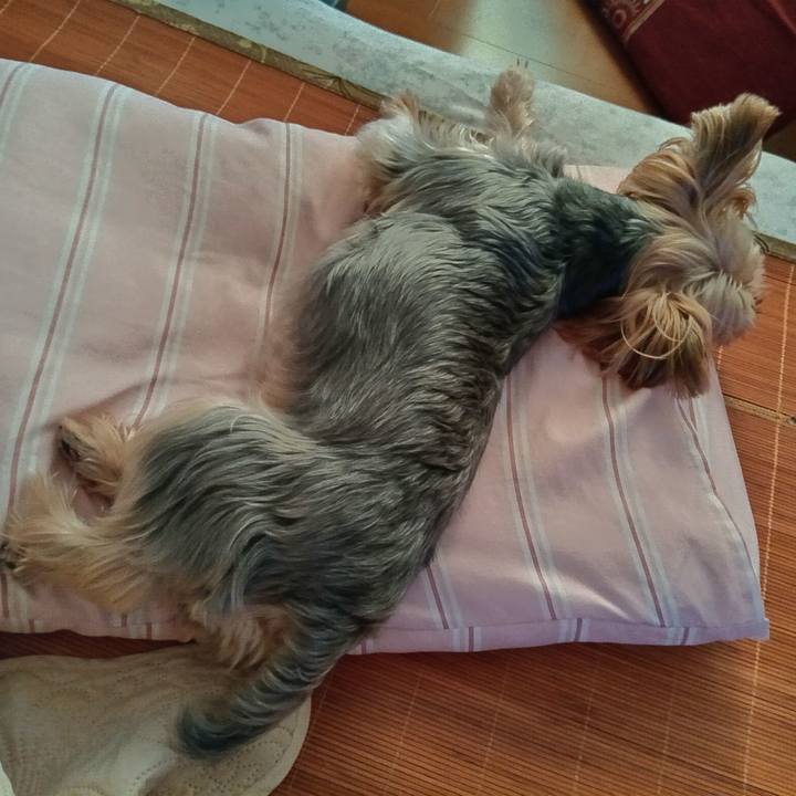 6942dbb3 ff61 44c7 a06a 20af9819f14c 1756947945889