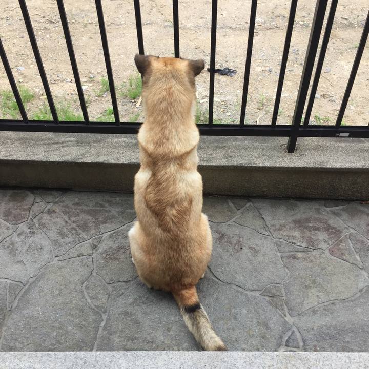 6943075f 28c7 4ee0 9717 a32acaec6698 1530694913133