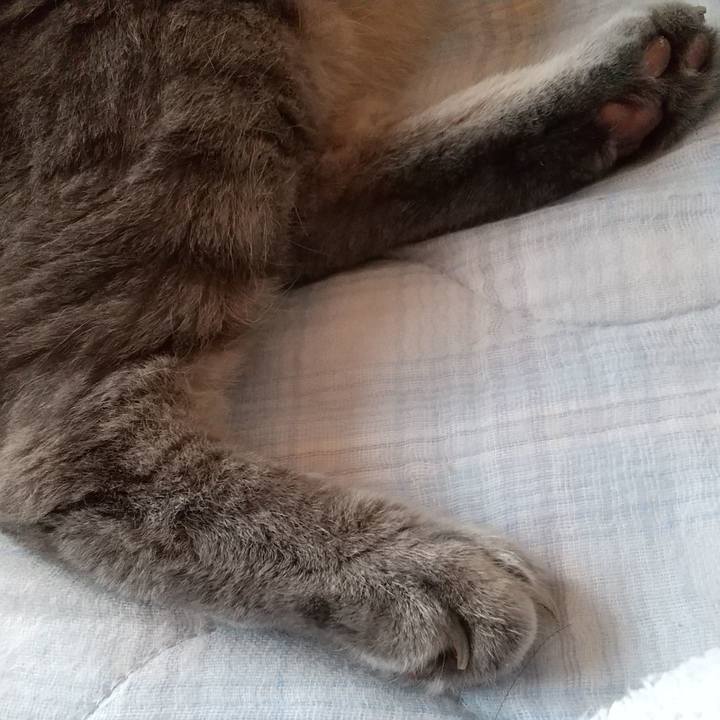 694317fc 42cd 474d a1f0 689da3274c82 1633399301909