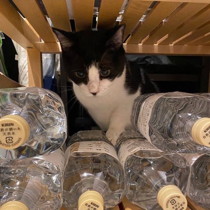 69431840 d680 4cdf 9b29 c82f808c746f 1725878854624